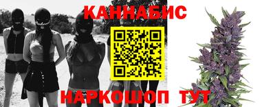 каннабис Гатчина